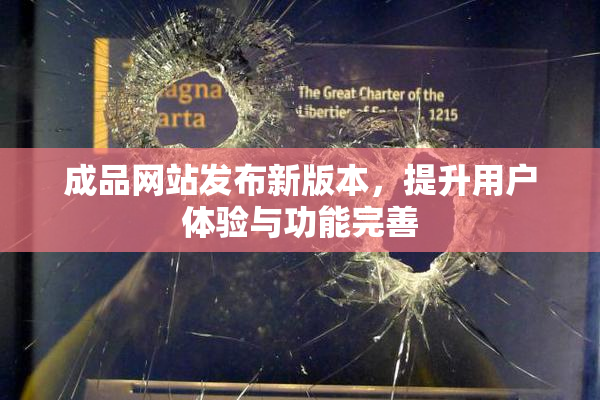 成品网站发布新版本，提升用户体验与功能完善