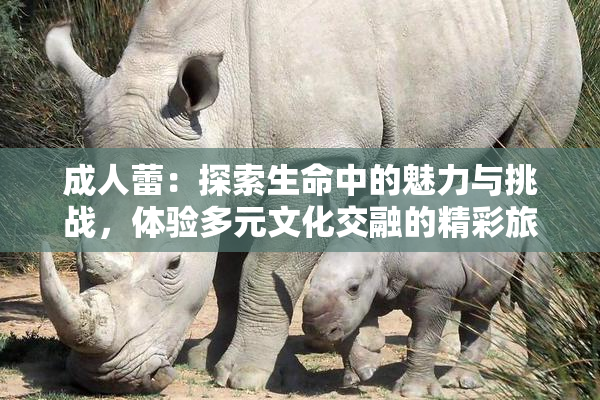 成人蕾：探索生命中的魅力与挑战，体验多元文化交融的精彩旅程
