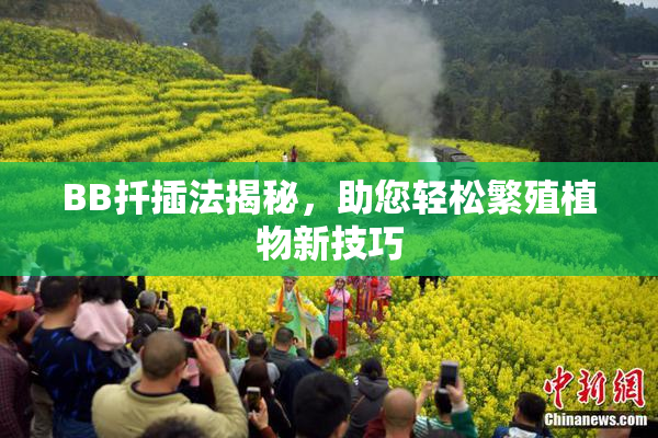 BB扦插法揭秘，助您轻松繁殖植物新技巧
