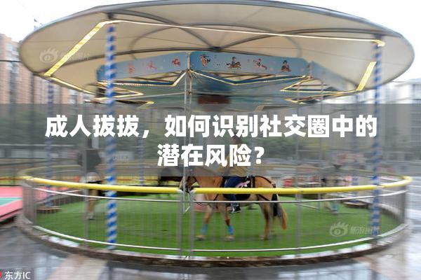 成人拔拔，如何识别社交圈中的潜在风险？