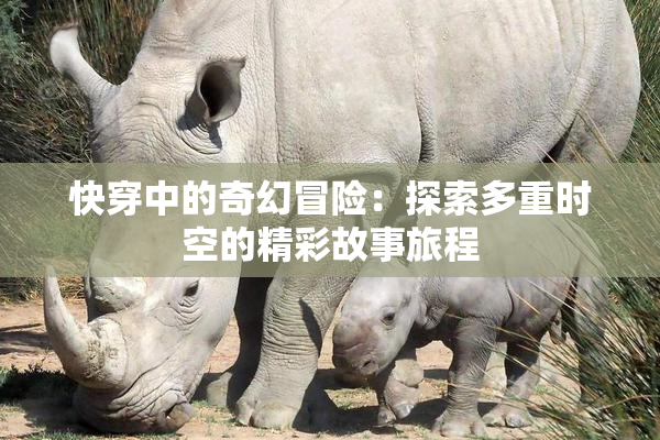 快穿中的奇幻冒险：探索多重时空的精彩故事旅程