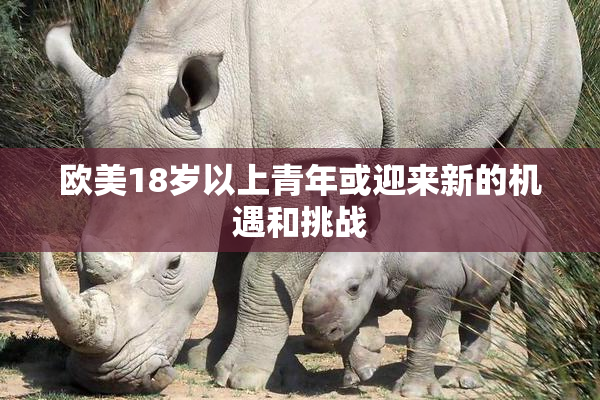 欧美18岁以上青年或迎来新的机遇和挑战