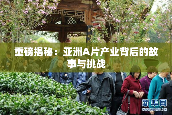 重磅揭秘：亚洲A片产业背后的故事与挑战