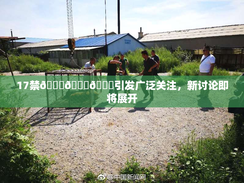 17禁🍆🍑🔞引发广泛关注，新讨论即将展开