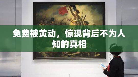免费被黄动，惊现背后不为人知的真相
