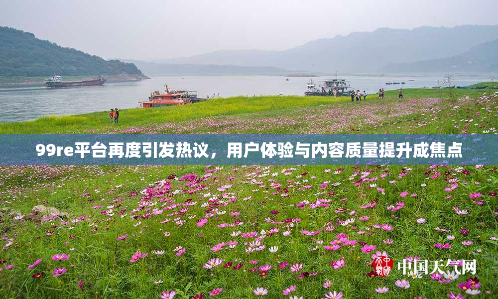 99re平台再度引发热议，用户体验与内容质量提升成焦点