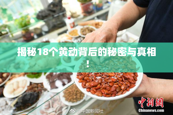 揭秘18个黄动背后的秘密与真相！