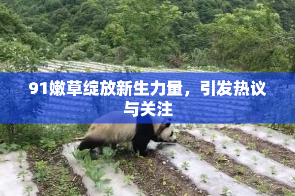 91嫩草绽放新生力量，引发热议与关注