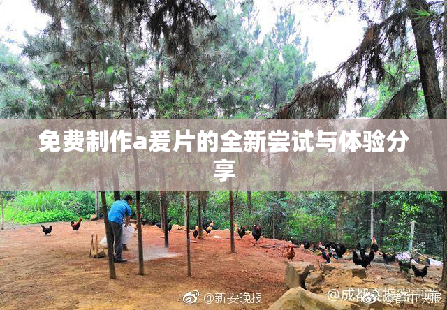 免费制作a爰片的全新尝试与体验分享