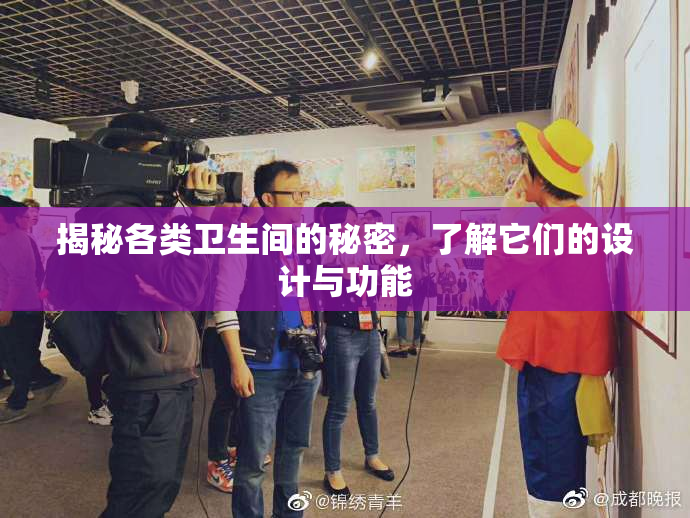 揭秘各类卫生间的秘密，了解它们的设计与功能