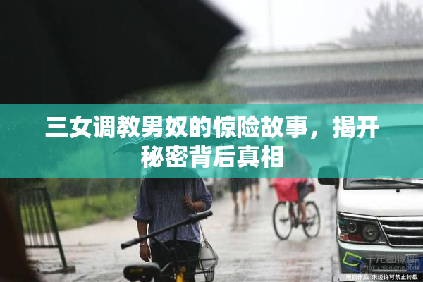 三女调教男奴的惊险故事，揭开秘密背后真相