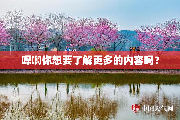 嗯啊你想要了解更多的内容吗？