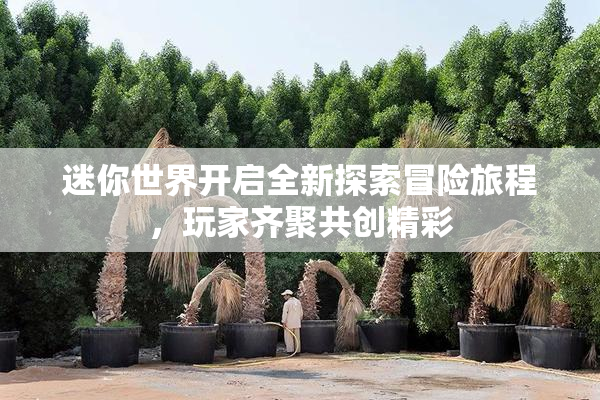 迷你世界开启全新探索冒险旅程，玩家齐聚共创精彩