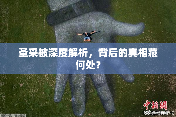 圣采被深度解析，背后的真相藏何处？