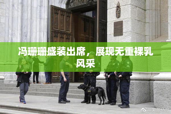 冯珊珊盛装出席，展现无重裸乳风采