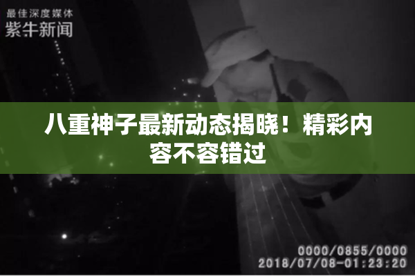 八重神子最新动态揭晓！精彩内容不容错过