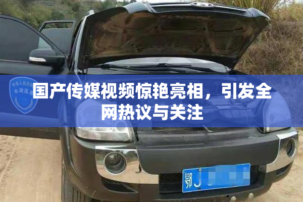 国产传媒视频惊艳亮相，引发全网热议与关注