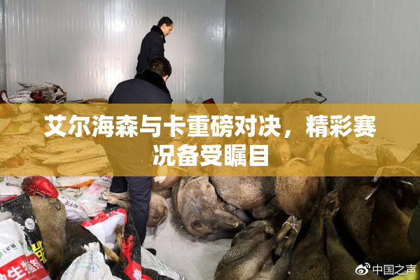 艾尔海森与卡重磅对决，精彩赛况备受瞩目