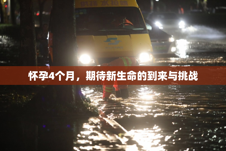 怀孕4个月，期待新生命的到来与挑战