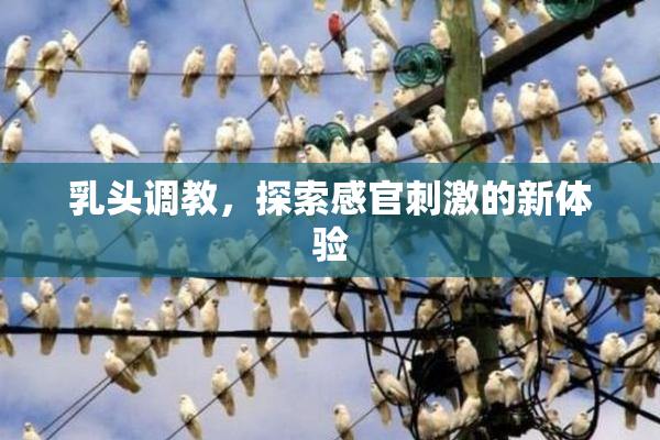 乳头调教，探索感官刺激的新体验