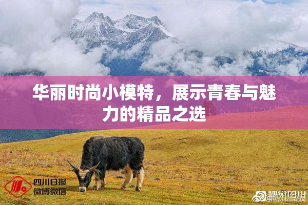 华丽时尚小模特，展示青春与魅力的精品之选