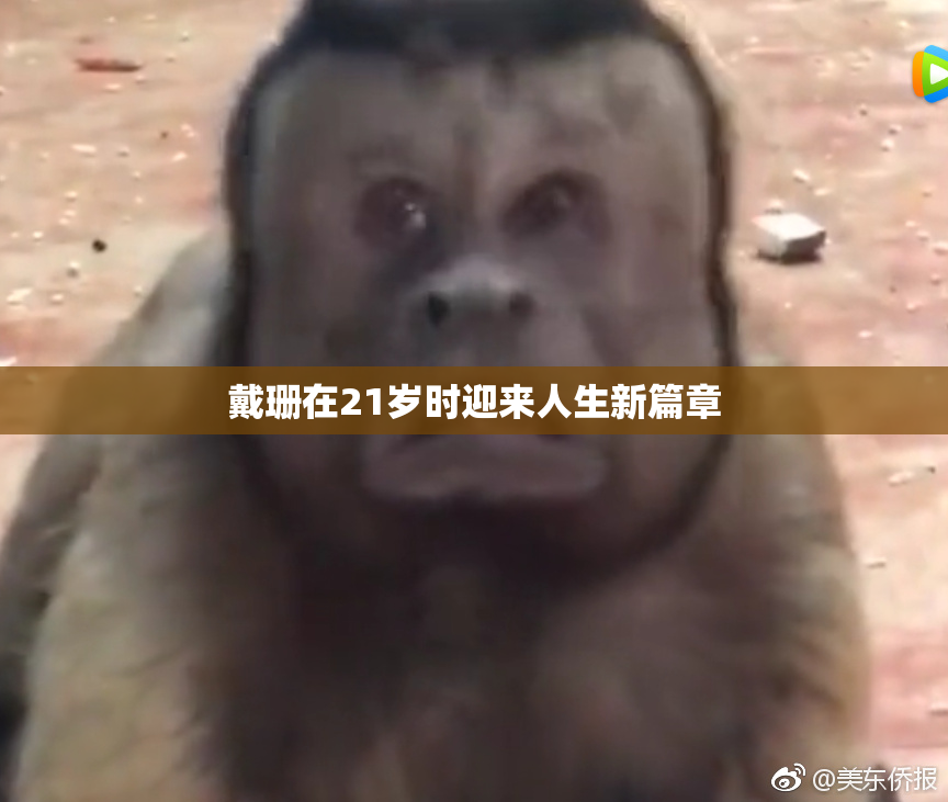 戴珊在21岁时迎来人生新篇章