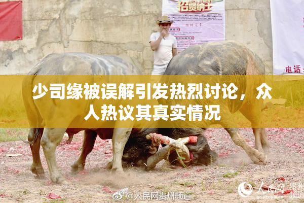 少司缘被误解引发热烈讨论，众人热议其真实情况