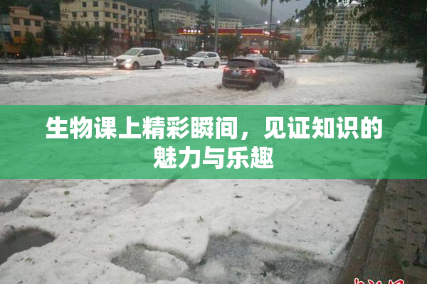 生物课上精彩瞬间，见证知识的魅力与乐趣