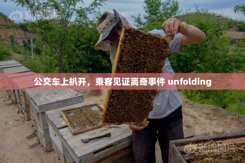 公交车上扒开，乘客见证离奇事件 unfolding