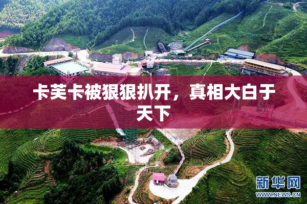 卡芙卡被狠狠扒开，真相大白于天下