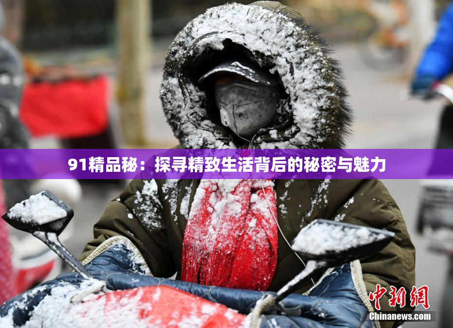91精品秘：探寻精致生活背后的秘密与魅力
