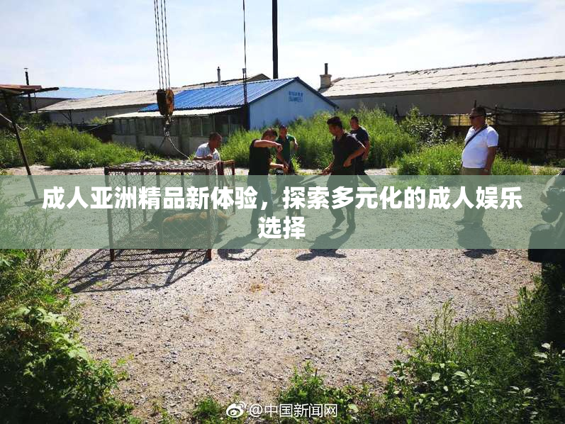 成人亚洲精品新体验，探索多元化的成人娱乐选择