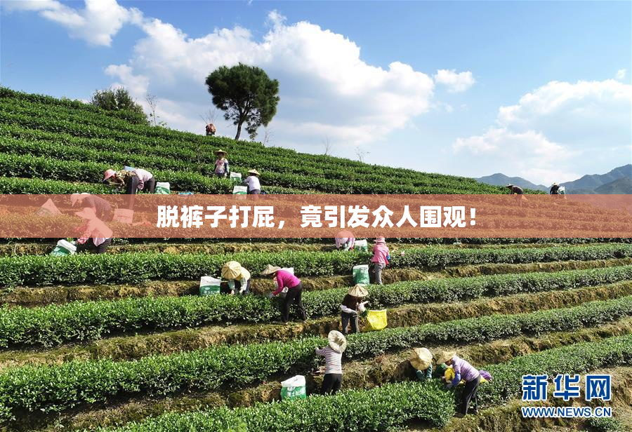 脱裤子打屁，竟引发众人围观！
