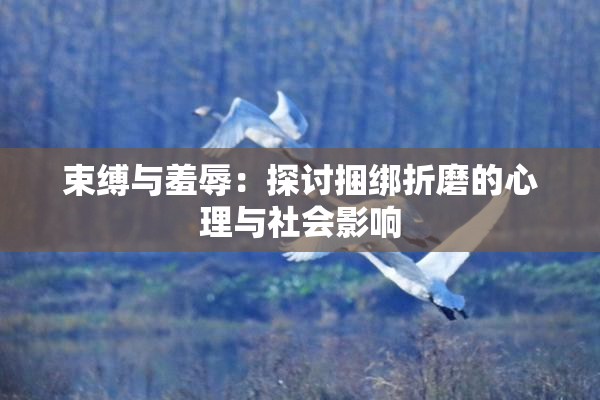 束缚与羞辱：探讨捆绑折磨的心理与社会影响