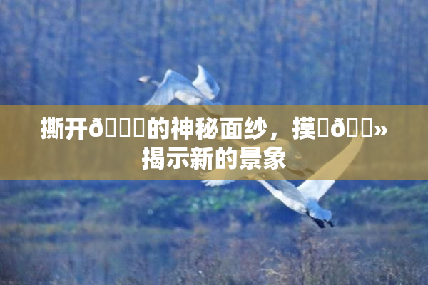 撕开👙的神秘面纱，摸‌🐻揭示新的景象