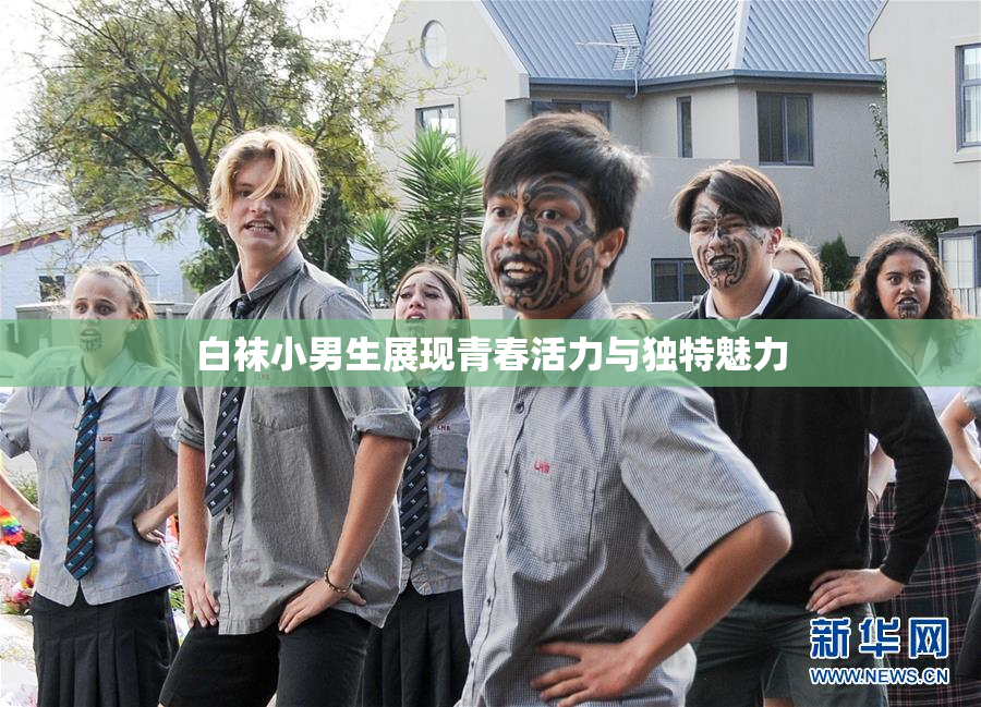 白袜小男生展现青春活力与独特魅力