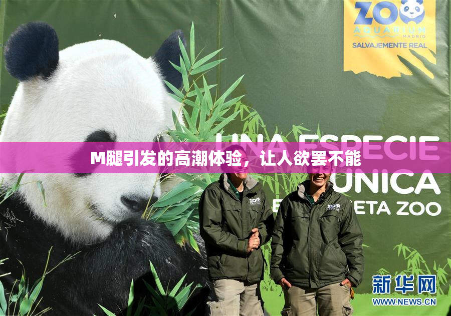 M腿引发的高潮体验，让人欲罢不能