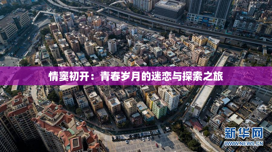 情窦初开：青春岁月的迷恋与探索之旅
