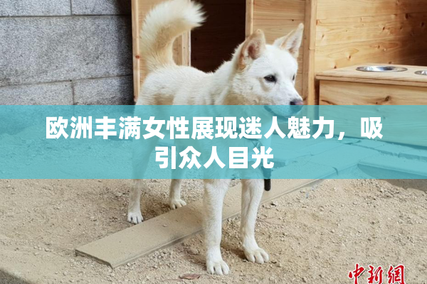 欧洲丰满女性展现迷人魅力，吸引众人目光