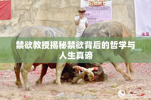 禁欲教授揭秘禁欲背后的哲学与人生真谛