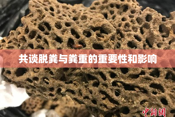 共谈脱粪与粪重的重要性和影响