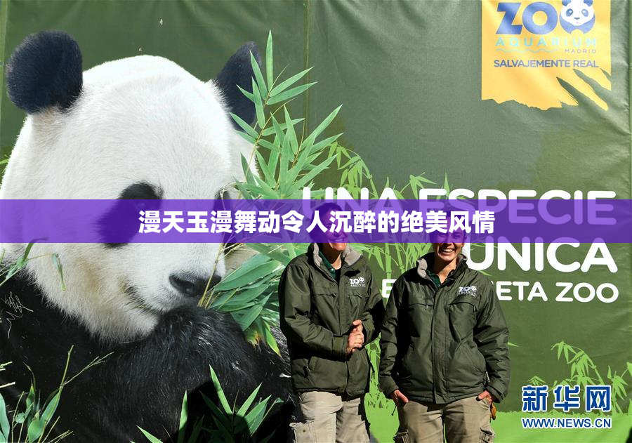 漫天玉漫舞动令人沉醉的绝美风情