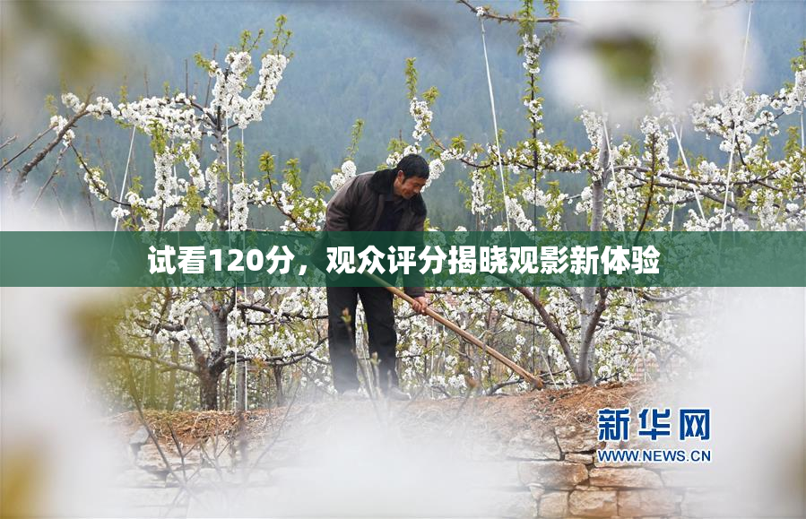 试看120分，观众评分揭晓观影新体验