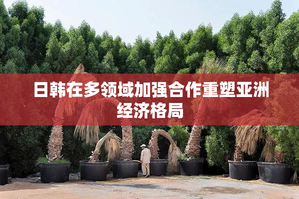 日韩在多领域加强合作重塑亚洲经济格局