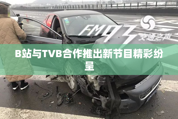 B站与TVB合作推出新节目精彩纷呈