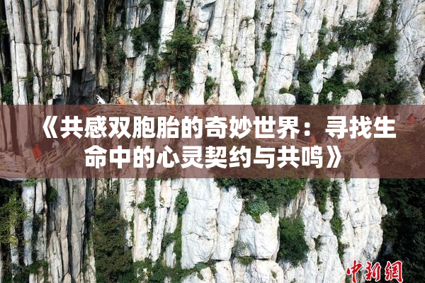 《共感双胞胎的奇妙世界：寻找生命中的心灵契约与共鸣》