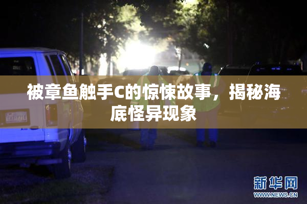 被章鱼触手C的惊悚故事，揭秘海底怪异现象