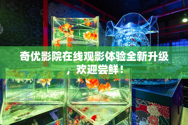 奇优影院在线观影体验全新升级，欢迎尝鲜！