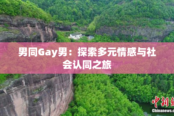 男同Gay男：探索多元情感与社会认同之旅