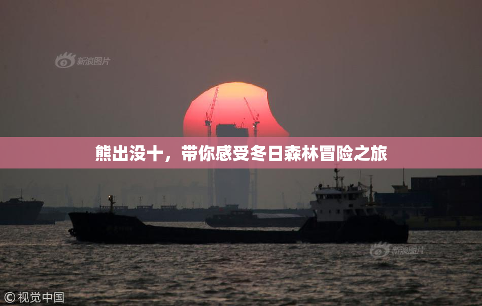 熊出没十，带你感受冬日森林冒险之旅